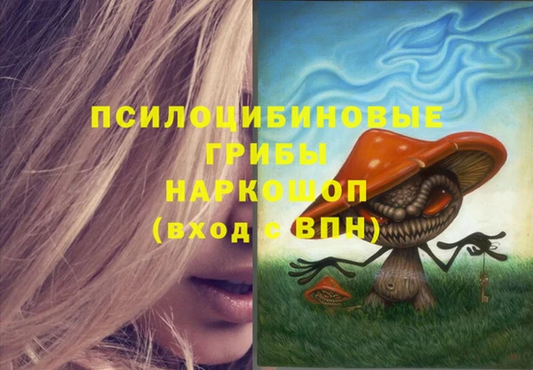 прущие крисы Абаза