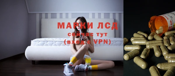 прущие крисы Абаза