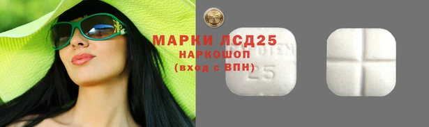 индика Абдулино