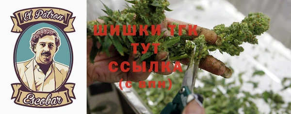 прущие крисы Абаза