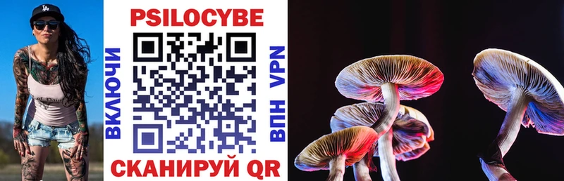 Псилоцибиновые грибы прущие грибы Ковров