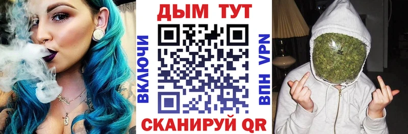 закладка Ковров гидра онион Канабис семена